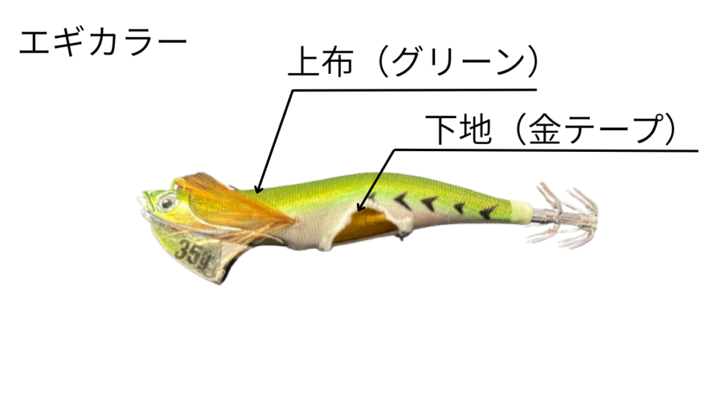 エギの下地テープ