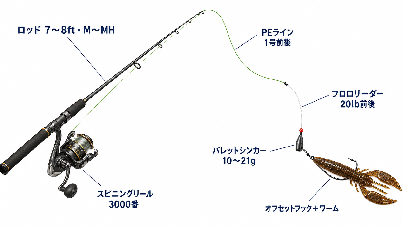 ロックフィッシュの基本タックル。7〜8ftのM〜MHロッド、3000番スピニングリール、PE1号前後、フロロリーダー20lb前後、10〜21gのバレットシンカーとワームの組み合わせ