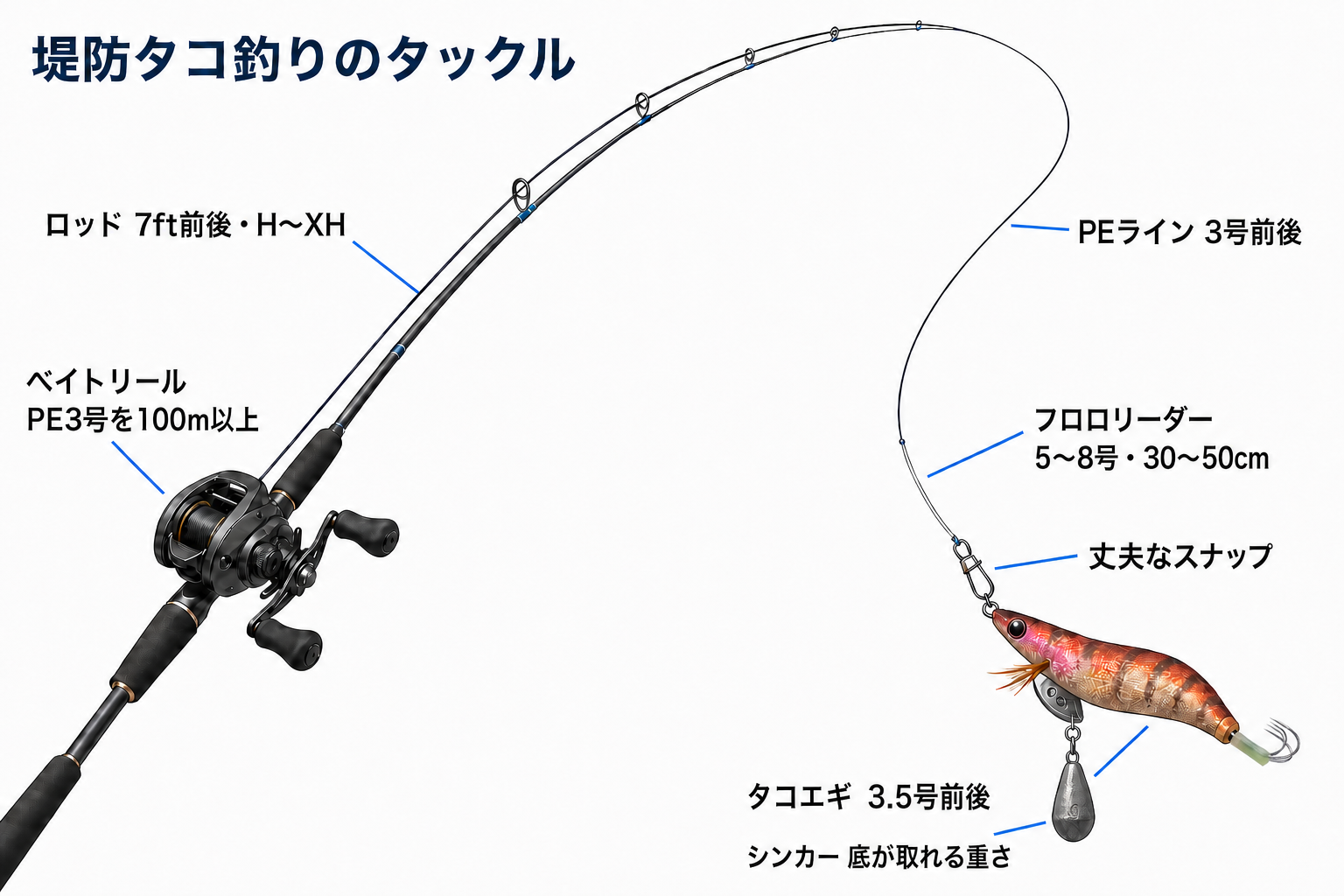 堤防タコ釣りで使う7ft前後のベイトロッド、PE3号、短いリーダー、タコエギとシンカーのタックル図