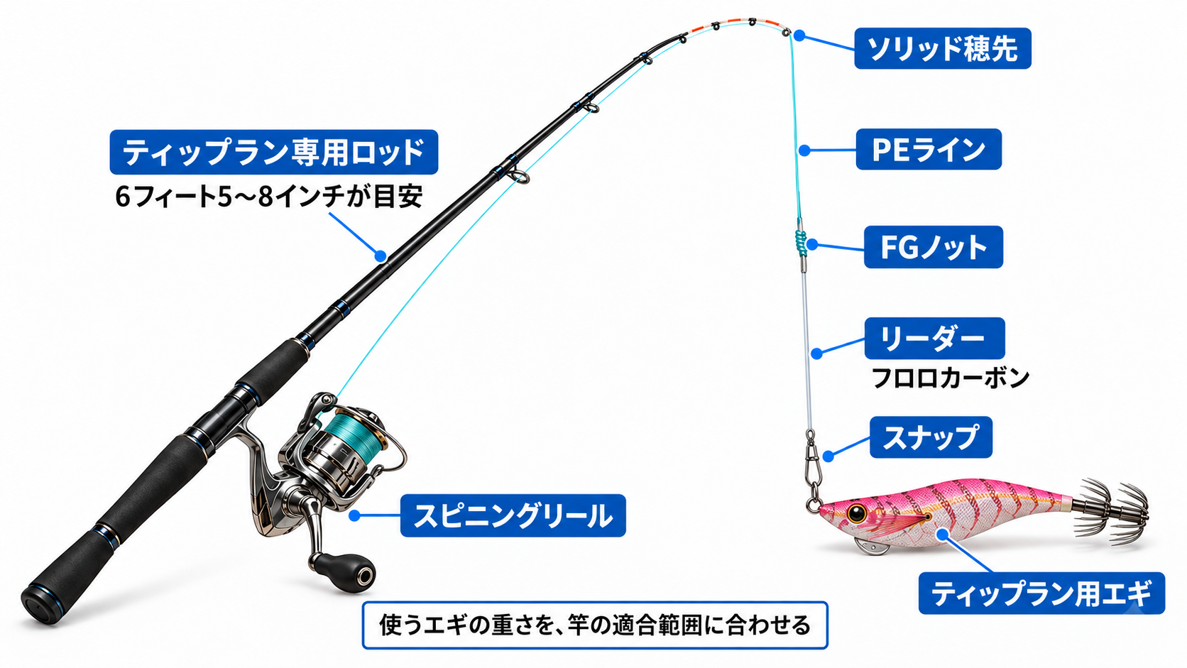 ティップラン専用ロッド、スピニングリール、PEラインとリーダー、エギの接続例