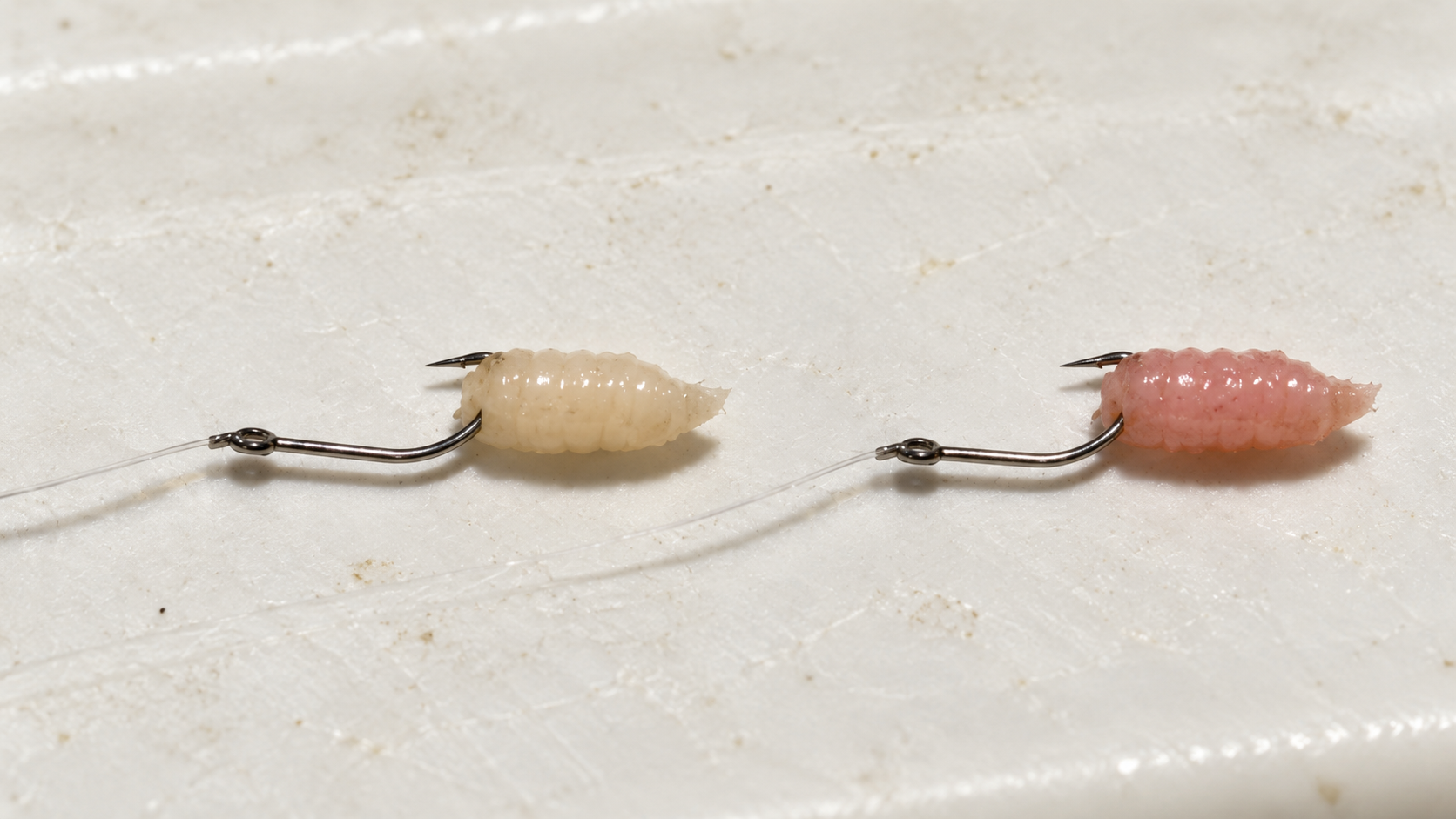 白サシと紅サシの端をちょん掛けし、針先を出したエサ付けのイメージ
