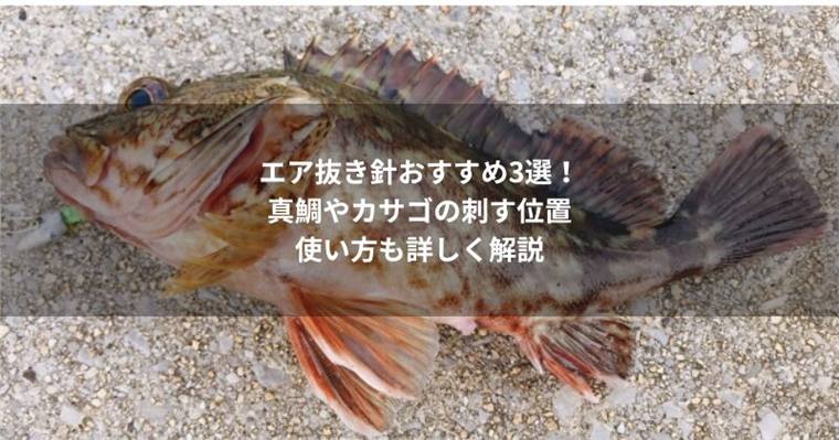 エア抜き針おすすめ3選!真鯛やカサゴの刺す位置と使い方も詳しく解説