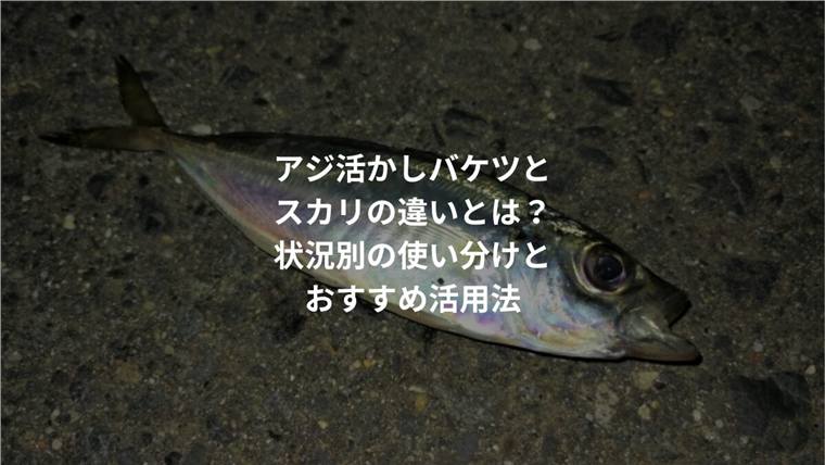 アジ活かしバケツとスカリの違いは?おすすめはどっち?堤防・泳がせ別に解説