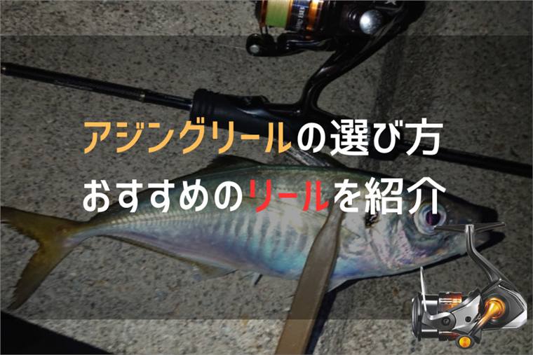 アジングリールのおすすめ12機種を紹介!選び方やハイエンド機まで紹介!