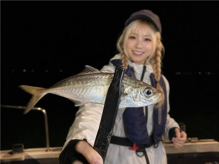 アジングワームカラーの選び方とおすすめ12選|昼・夜・点発光・濁りの使い方も解説