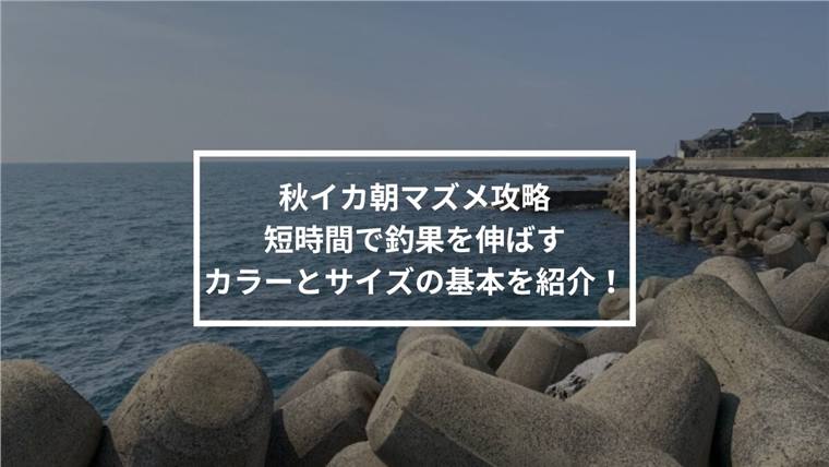朝マズメのエギカラーはどう選ぶ?秋イカ・春イカで外しにくい色とサイズの使い分け