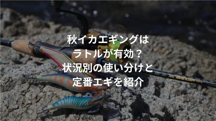 秋イカエギングはラトルが有効?状況別の使い分けと定番エギを紹介