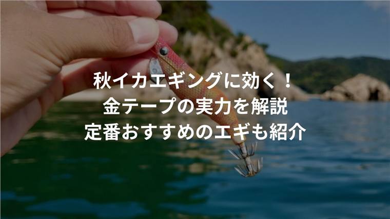 秋イカに金テープのエギはいつ使う?号数・重さ・状況別の選び方