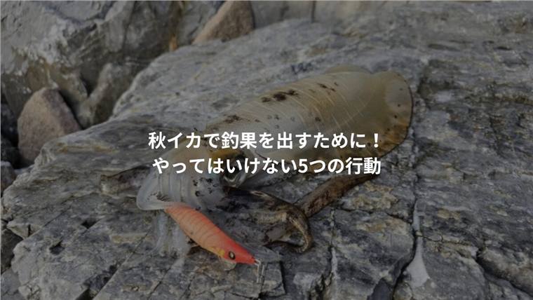 秋イカで釣果を出すために!やってはいけない5つの行動
