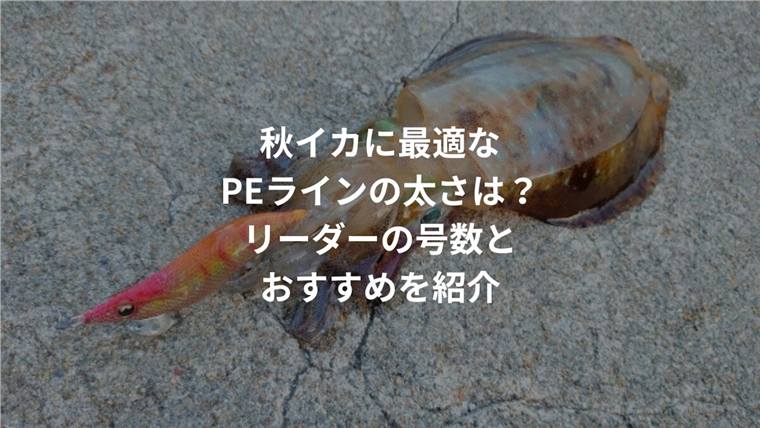 秋イカのPEラインは何号?0.4・0.6・0.8号の選び方とリーダーの目安