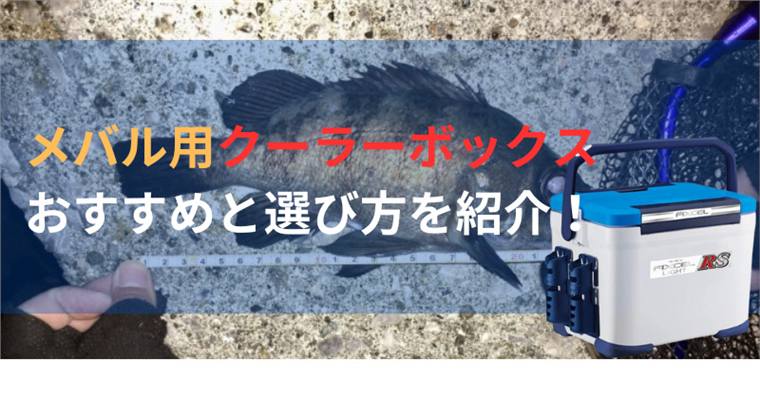 メバル釣りの必需品!2024年最新クーラーボックスおすすめ8選