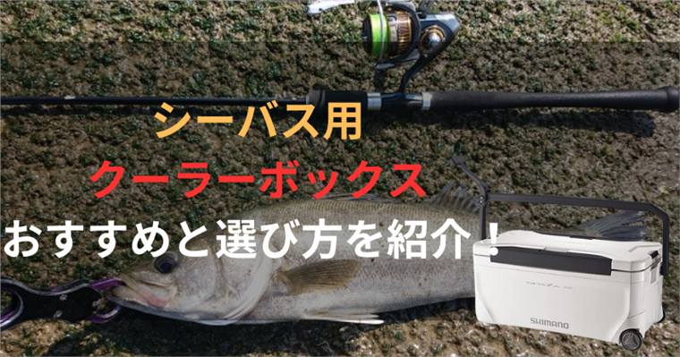 シーバス用クーラーボックスのおすすめ9選と選び方を紹介!