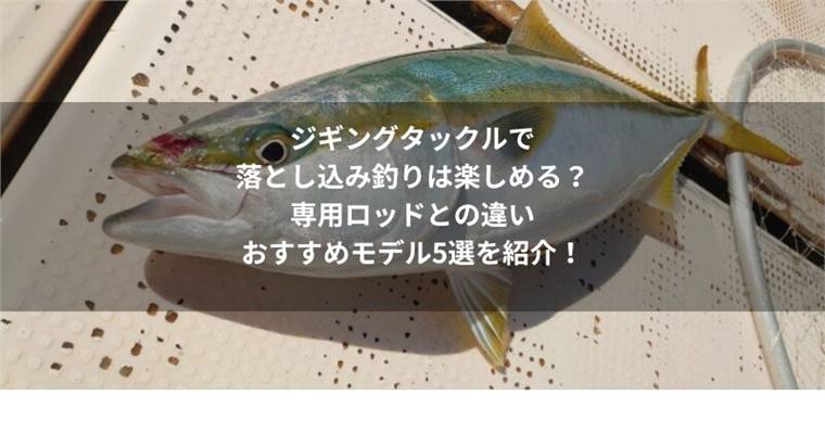 ジギングタックルで落とし込み釣りは楽しめる?専用ロッドとの違いとおすすめモデル5選を紹介!