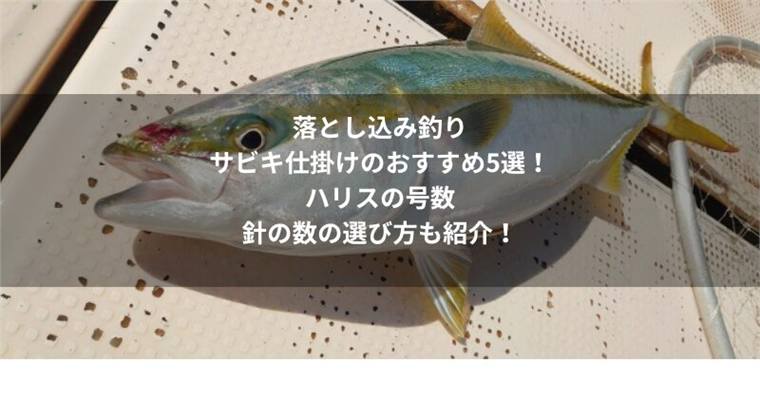 落とし込みサビキ仕掛けはどう選ぶ?ハリス号数・針数・装飾の違いとおすすめ5選