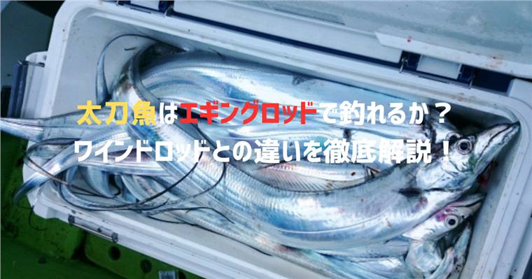 太刀魚ワインドはエギングロッドで代用できるか?ワインドロッドとの違いを徹底解説!