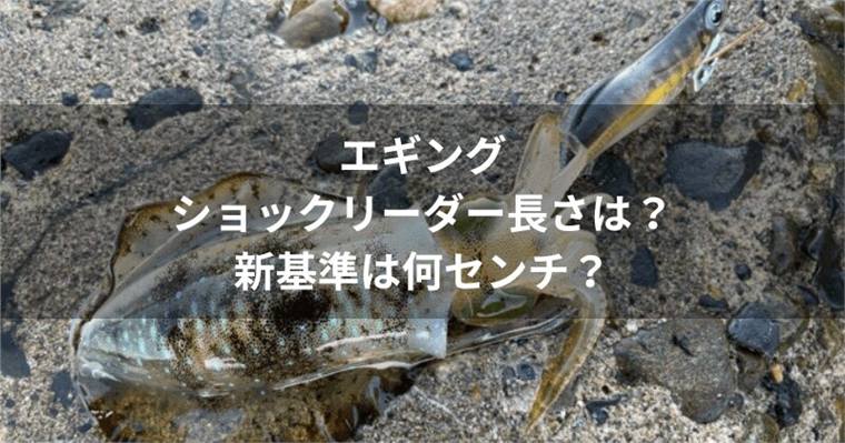 エギングリーダーの長さは何ヒロ?釣り場別の決め方を解説