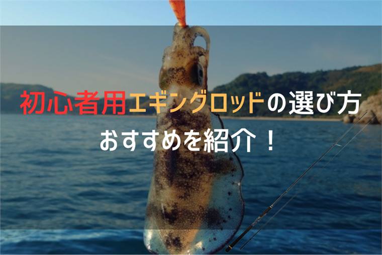 初心者必見!エギングロッドのおすすめ&選び方を紹介!