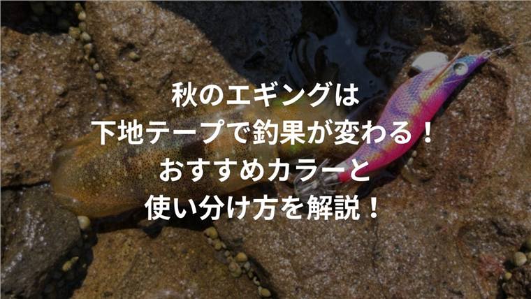 秋のエギングは下地テープで釣果が変わる!おすすめカラーと使い分け方を解説!
