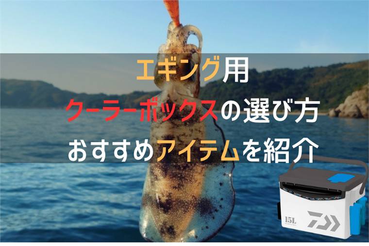 エギング用クーラーボックスおすすめ10選|サイズ・内寸・保冷力の選び方