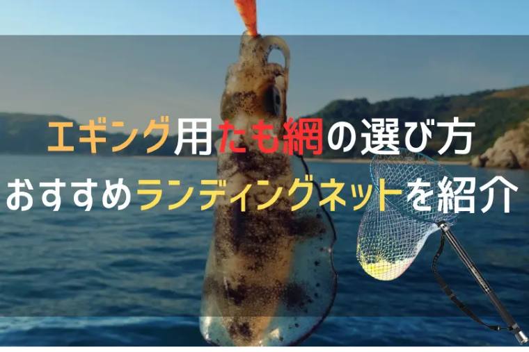 エギングにおすすめのタモ網7選。長さとサイズの選び方
