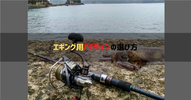 エギングPEラインは何号が基本?太さの目安と春イカ向けの選び方