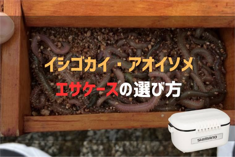 釣り用エサケースおすすめ12選|アオイソメ・イシゴカイを弱らせない選び方