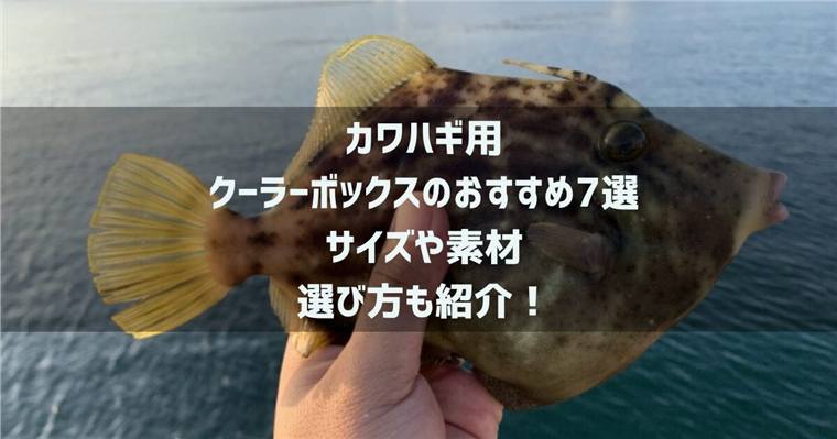 カワハギ用クーラーボックスのおすすめ7選!サイズや素材の選び方も紹介!