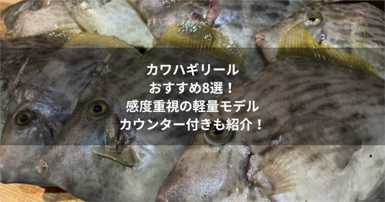 カワハギリールのおすすめ8選!感度重視の軽量モデルやカウンター付きも紹介!
