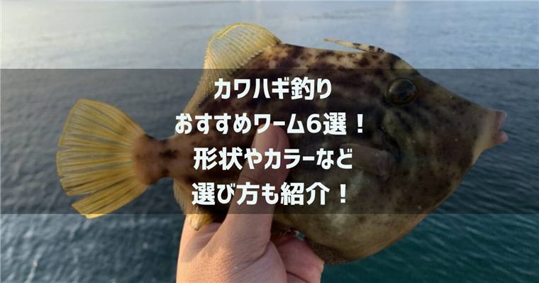 カワハギ釣りワームおすすめ6選！形状やカラーなど選び方も紹介！