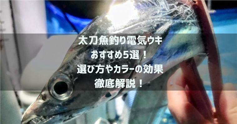 太刀魚釣り電気ウキのおすすめ5選!選び方やカラーの効果も徹底解説!