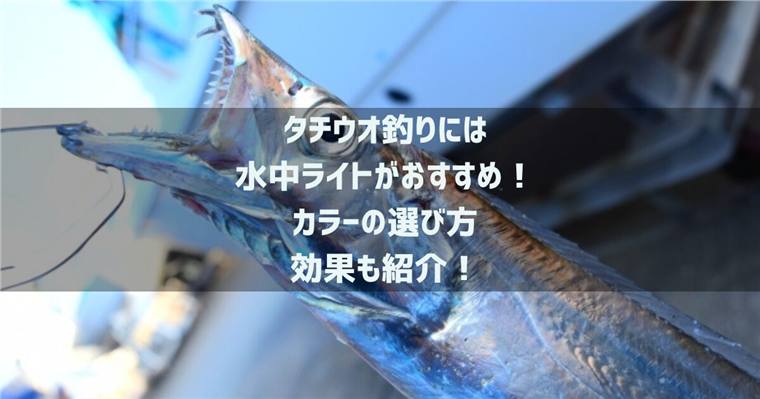 タチウオ釣りには水中ライトがおすすめ!カラーの選び方や効果も紹介!