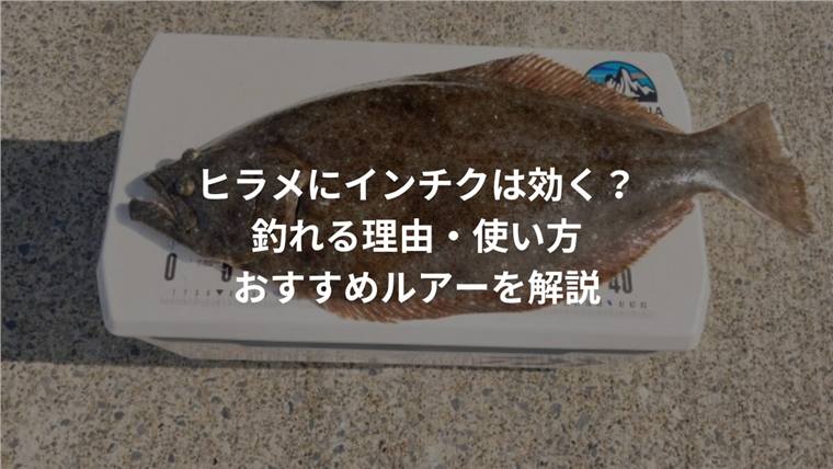 ヒラメにインチクは効く?釣れる理由・使い方・おすすめルアーを解説