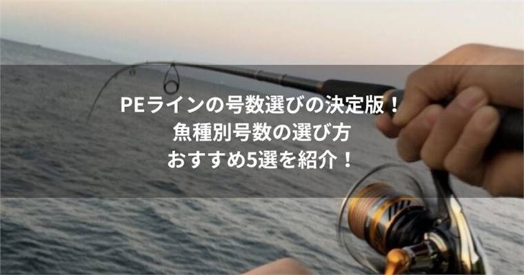 PEラインは何号?0.8号・1号・1.5号で釣れる魚早見表