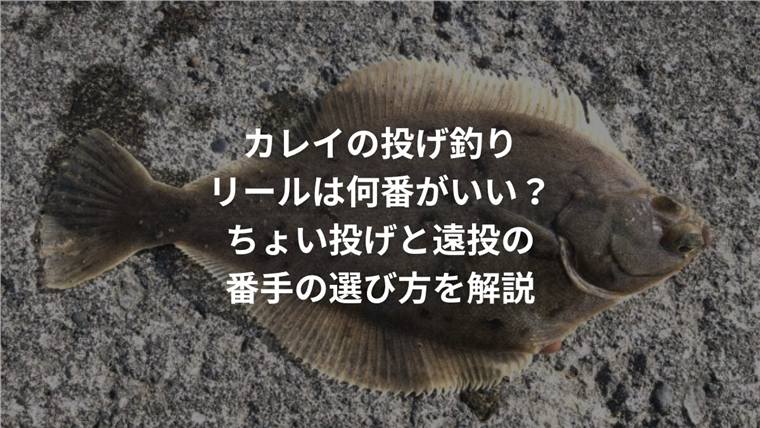 カレイの投げ釣りリールは何番がいい?ちょい投げと遠投の番手の選び方を解説