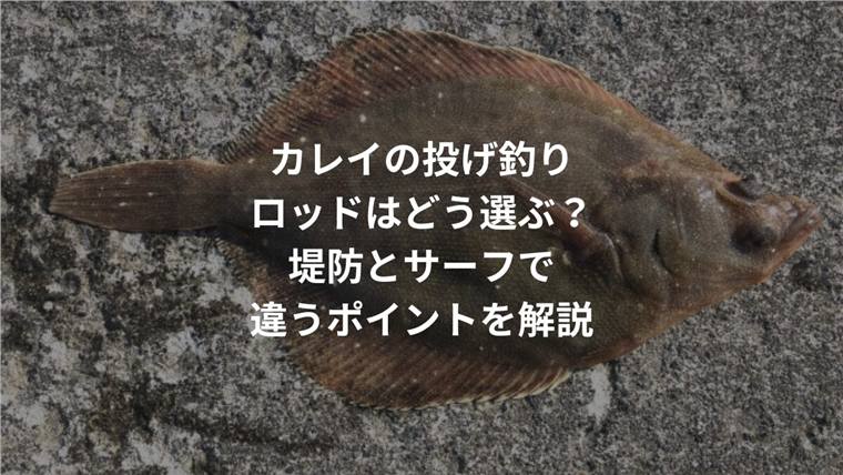 カレイの投げ釣りロッドはどう選ぶ?堤防とサーフで違うポイントを解説