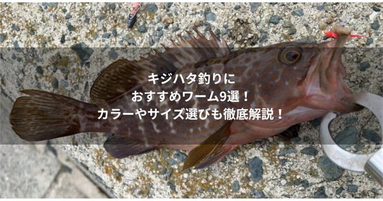 キジハタワームおすすめ7選|アコウに使う形・カラー・サイズの選び方