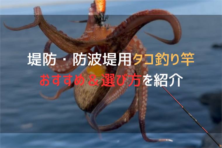 堤防のタコロッドはどれがいい？岸タコ向けおすすめと長さ・硬さを紹介