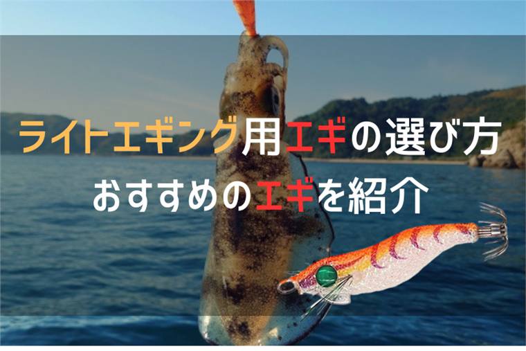 ライトエギング用エギのおすすめ7選&選び方を紹介!