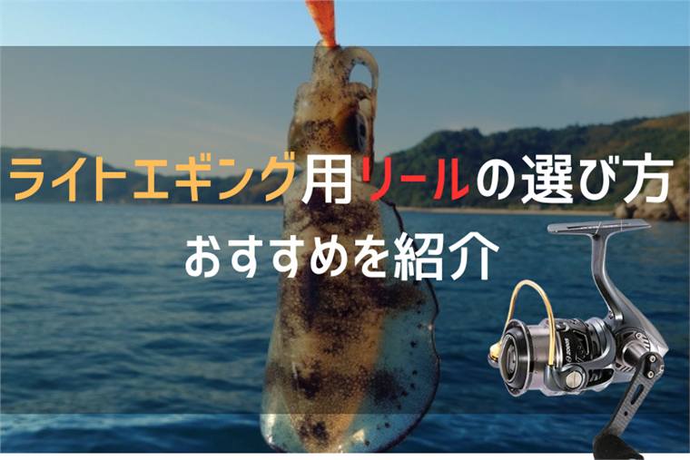 ライトエギング用リールのおすすめを紹介!番手や選び方も紹介!