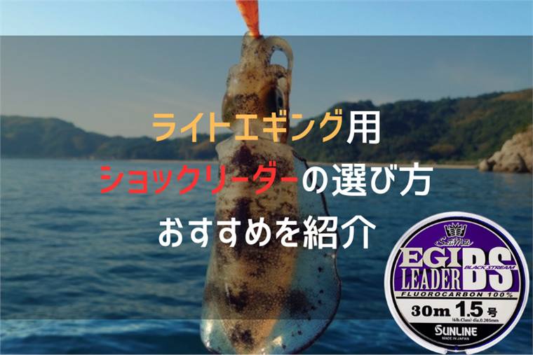 ライトエギング用ショックリーダーのおすすめと選び方を紹介!