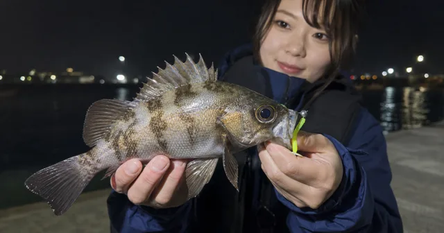 メバリングの始め方！初心者がそろえる道具と夜の港で釣るコツを解説