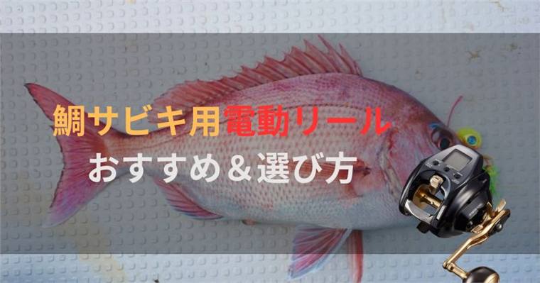 鯛サビキ用電動リールのおすすめ6選&選び方と最新モデルを紹介!