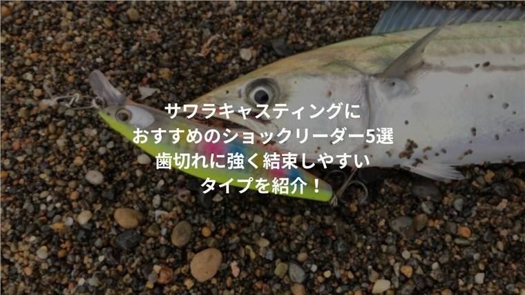 サワラキャスティングにおすすめのショックリーダー5選|歯切れに強く結束しやすいタイプを紹介!