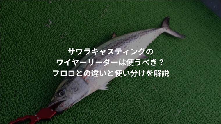 サワラのワイヤーリーダーは必要?仕掛けに入れる場面と長さの目安