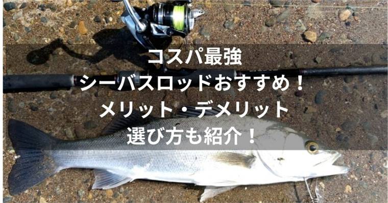 シーバスロッドのコスパ最強5選|1万円台後半から失敗しにくい長さ・硬さを解説