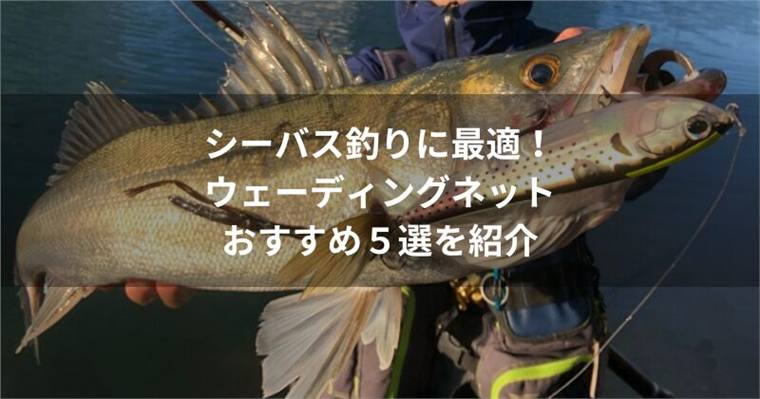 シーバス釣りに最適!ウェーディングネットのおすすめ5選&選び方や特徴も紹介!