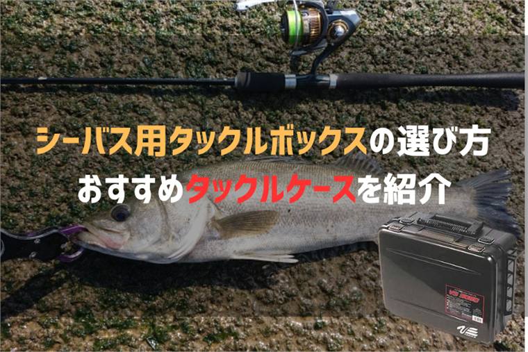 シーバス用タックルボックスのおすすめ10選&選び方を紹介!