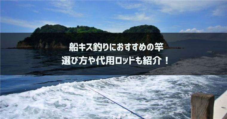 船キス竿おすすめ7選|代用できるロッドと長さ・オモリ負荷