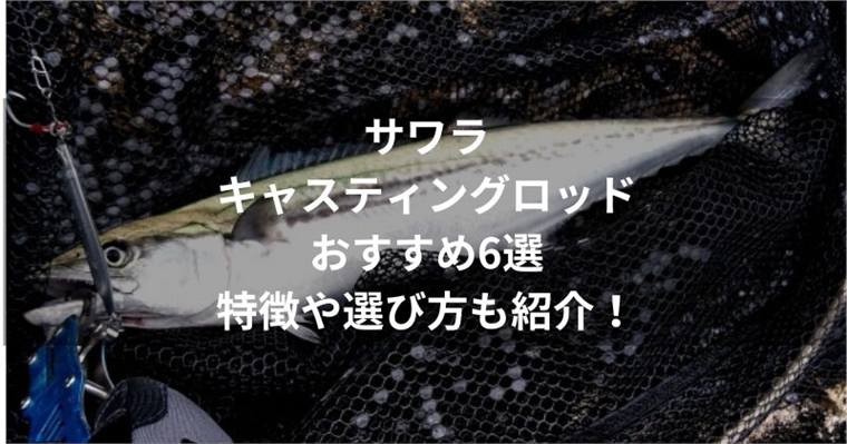 サワラキャスティングロッドのおすすめ6選!特徴や選び方も紹介!