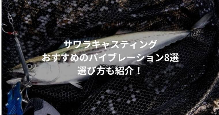 サワラキャスティングにおすすめのバイブレーション8選!選び方も紹介!